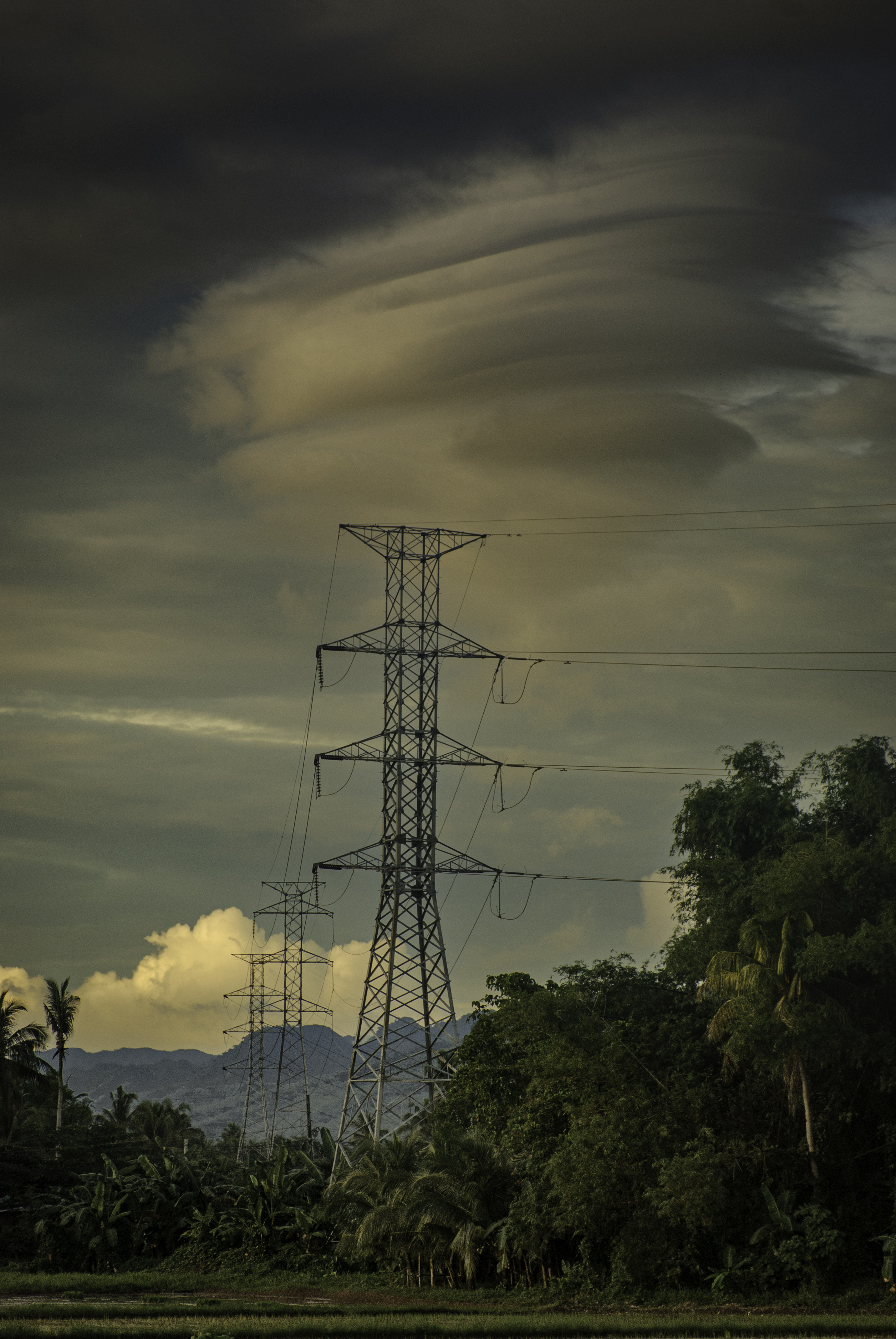 Poles of an Electricity Distribution Tower Surrounded by Lush Greenery in a Mountainous Area
